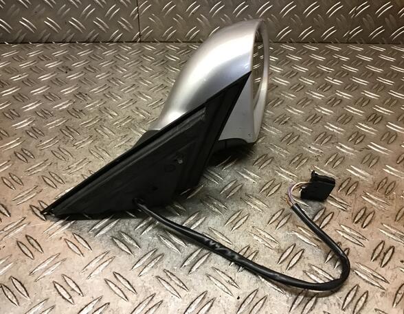 Wing (Door) Mirror VW Passat Variant (3B6), VW Passat (3B3)