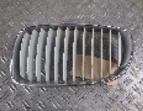 Radiator Grille BMW 1er Coupe (E82)