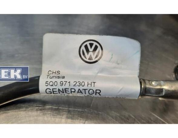 Wiring Harness VW Golf VII (5G1, BE1, BE2, BQ1), VW Golf Sportsvan (AM1, AN1)