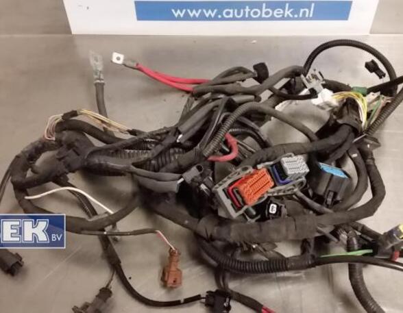 Wiring Harness RENAULT Clio III (BR0/1, CR0/1)