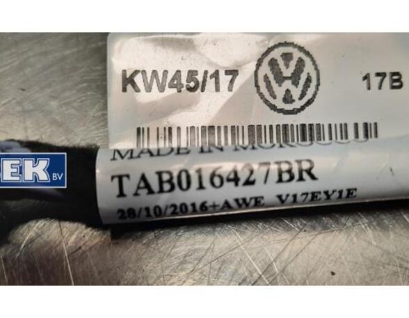 Wiring Harness VW Passat Alltrack (3G5, CB5), VW Passat Variant (3G5, CB5)