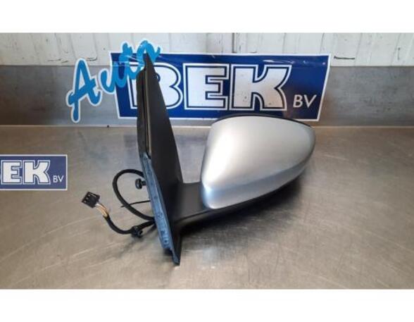 Wing (Door) Mirror VW Polo (6C1, 6R1)