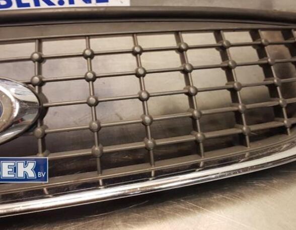 Radiator Grille FORD Mondeo IV (BA7)