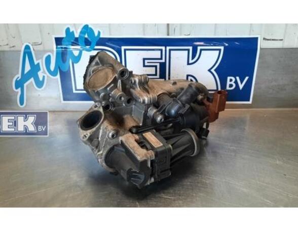 EGR Valve FIAT Doblo Cargo (263)