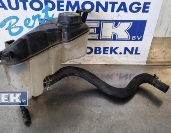 Coolant Expansion Tank VOLVO S60 II (134)