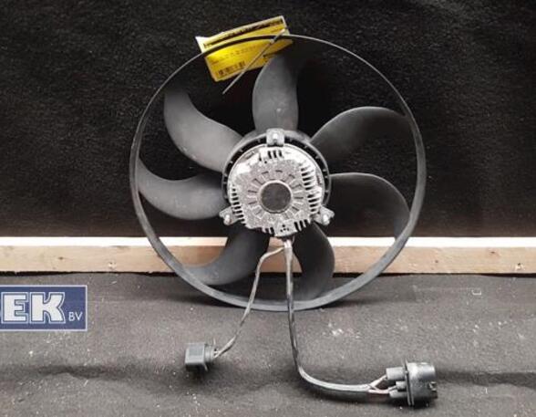 Radiator Electric Fan  Motor VW Caddy III Kasten/Großraumlimousine (2CA, 2CH, 2KA, 2KH)