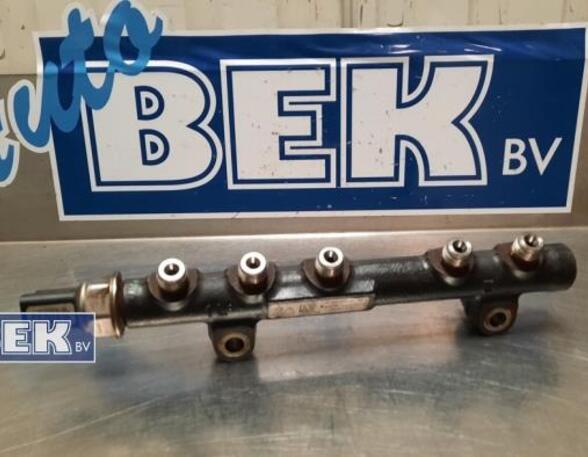 Petrol Fuel Rail FORD Tourneo Connect/Grand Tourneo Connect V408 Großraumlimousi (--)