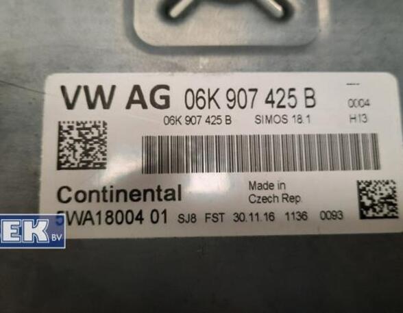 Engine Management Control Unit VW Passat (3G2, CB2)