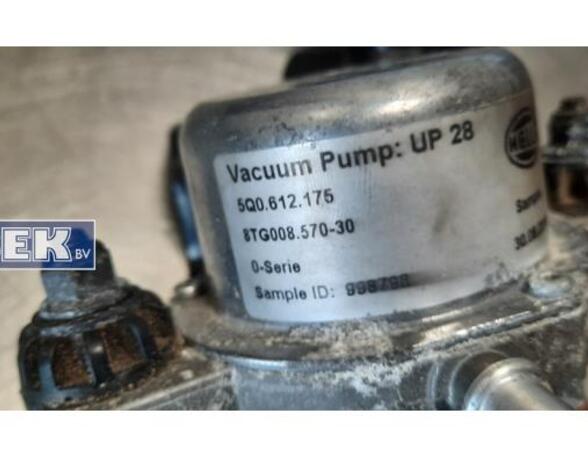 Vacuum Pump VW Golf VII (5G1, BE1, BE2, BQ1)