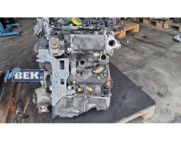 P13949393 Motor ohne Anbauteile (Diesel) AUDI A4 (8W, B9) 04L100031Q