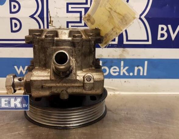 Power steering pump AUDI A4 (8EC, B7)