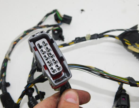 Door Wiring Harness FORD Transit Connect (P65, P70, P80)