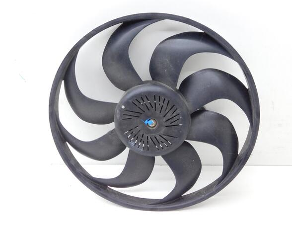 Radiator Electric Fan  Motor FORD C-Max II (DXA/CB7, DXA/CEU)