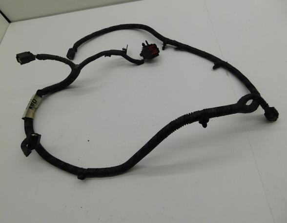 Ignition Cable FORD C-Max II (DXA/CB7, DXA/CEU)