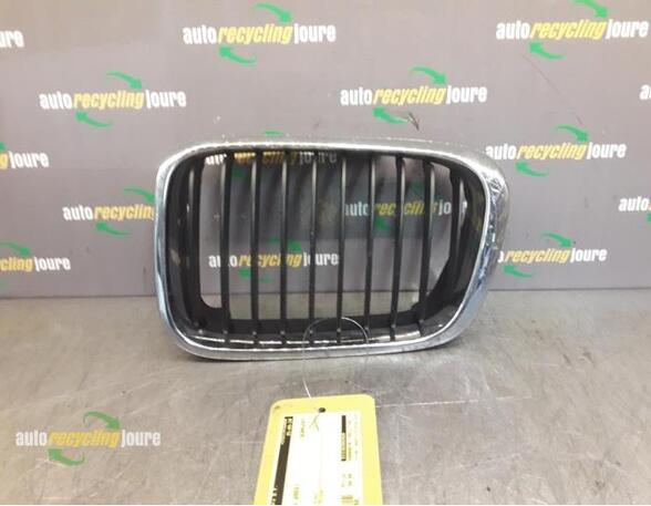 Radiator Grille BMW 3er Compact (E46)