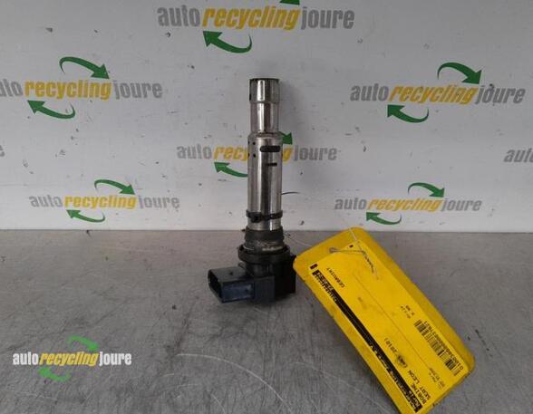 Ignition Coil SEAT Leon (1P1)