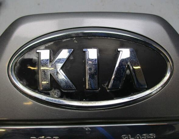 Licence Plate Light KIA Sportage (JE, KM)