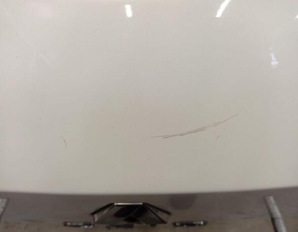 Boot (Trunk) Lid RENAULT Clio III (BR0/1, CR0/1), RENAULT Clio IV (BH)