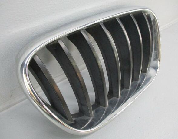 Radiator Grille BMW X3 (F25)