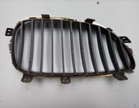 Kühlergrill Grill Frontgrill Niere links BMW 5 (E60) 520I 125 KW