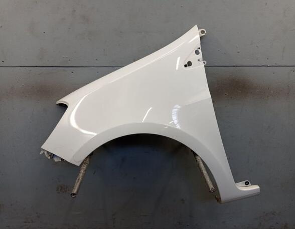 Spatbord RENAULT Clio III (BR0/1, CR0/1), RENAULT Clio IV (BH)