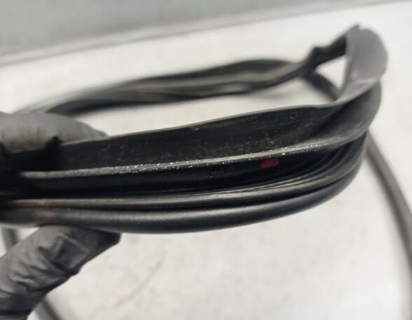 Door Seal HYUNDAI iX35 (EL, ELH, LM)