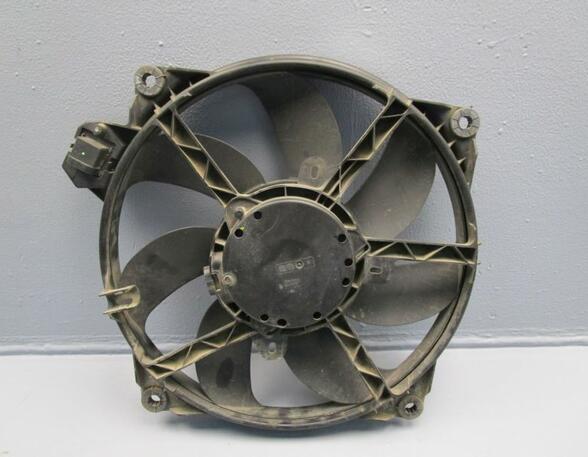 Radiator Electric Fan  Motor RENAULT Scénic III (JZ0/1), RENAULT Grand Scénic III (JZ0/1)