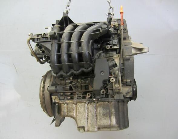 Motor (Benzin) Engine AKQ defekt! hoher Ölverbrauch!!! VW GOLF IV (1J1) 1.4 16V 55 KW