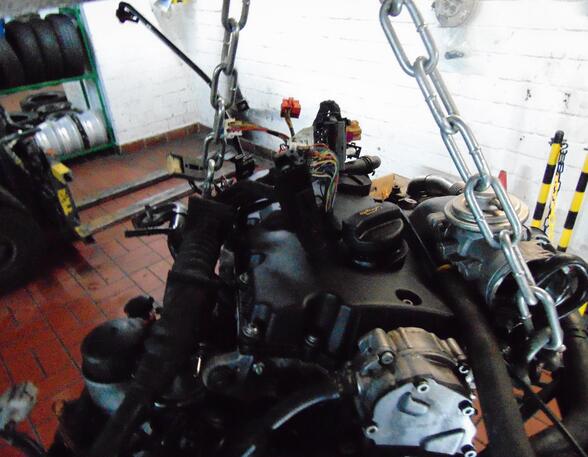 Motor Motorkennbuchstabe AVF (Frontscheibe mit Regensensor
CD-Wechsler hinten
Scheibenwaschdüsen heizbar)