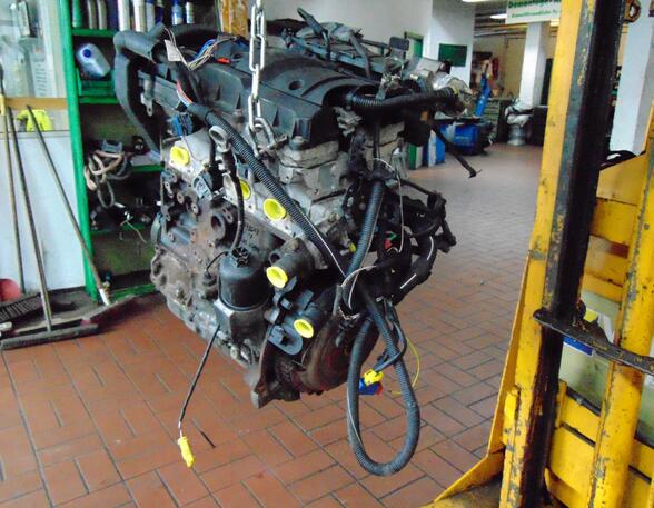 Motor 1,6  80KW (1,6(1587ccm) 80KW TU5JP4 /NFU NFU
Getriebe 5-Gang)