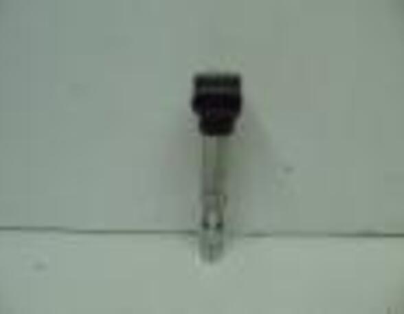 Zündspule/Zündmodul (Generator 90 Ampere
Verglasung getönt)
