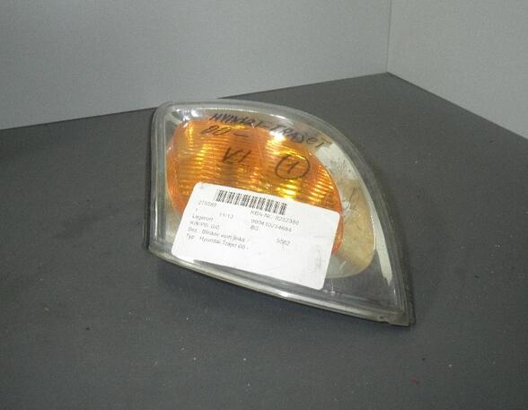 Direction Indicator Lamp HYUNDAI Trajet (FO)