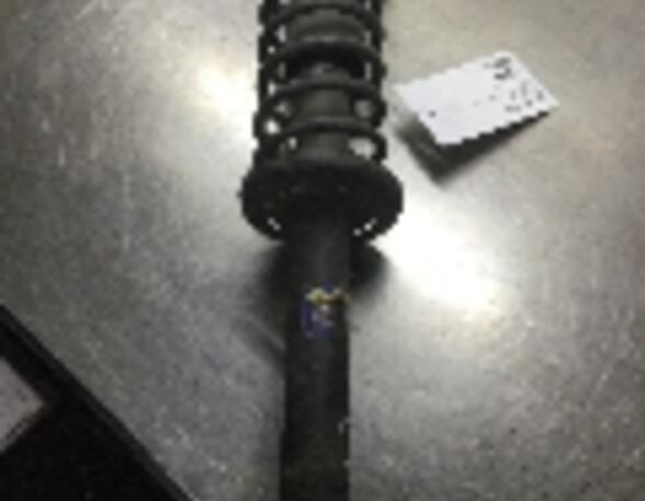 Suspension Strut VW Polo (6N1)