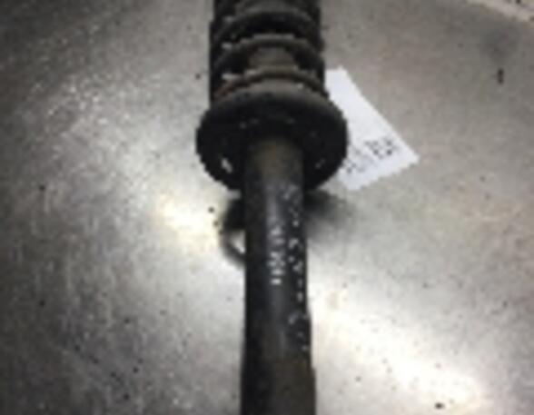 Suspension Strut SEAT Ibiza II (6K1)