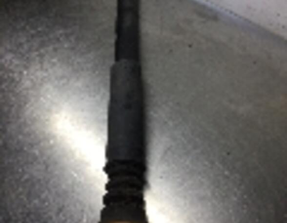 Shock Absorber FORD Focus (DAW, DBW)