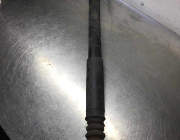 Shock Absorber FORD Focus (DAW, DBW)