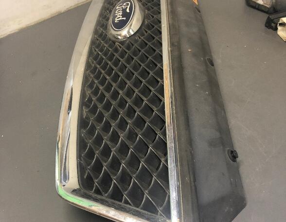Radiateurgrille FORD C-Max (DM2)