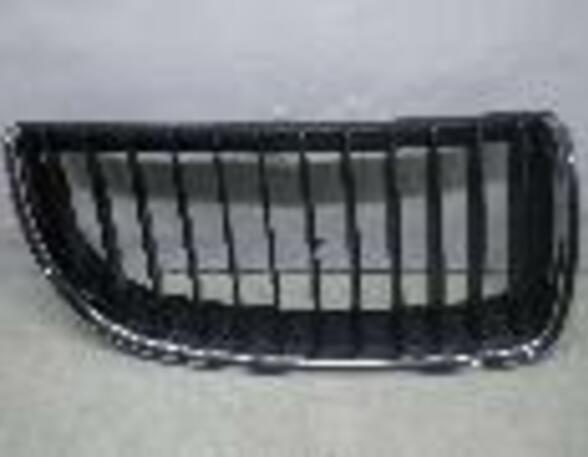 Radiator Grille BMW 3er (E90)