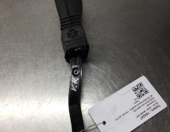 Door Check Strap AUDI A6 Avant (4A5, C8)