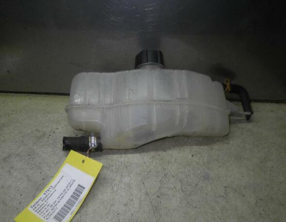 Coolant Expansion Tank RENAULT Clio III (BR0/1, CR0/1), RENAULT Clio II (BB, CB)
