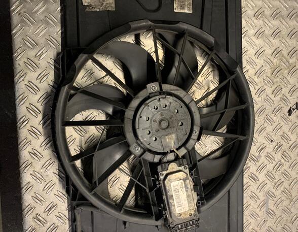 Radiator Electric Fan  Motor FORD C-Max (DM2), FORD Focus C-Max (--), FORD Kuga I (--), FORD Kuga II (DM2)