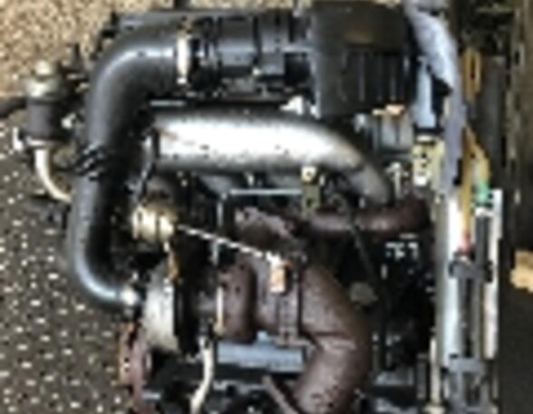 156511 Motor ohne Anbauteile RENAULT Kangoo (KC) F9Q 780