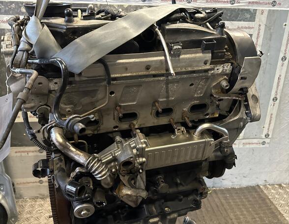 248022 Motor ohne Anbauteile VW Golf Plus (5M) CAYC