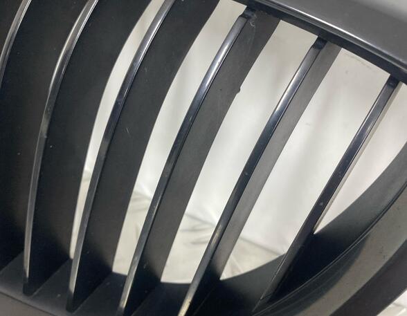 Radiator Grille BMW 3er Coupe (E92)