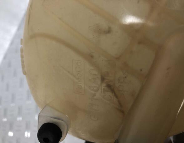 Coolant Expansion Tank FORD Fiesta VII (HF, HJ)