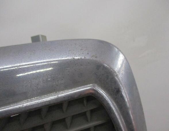 Kühlergrill korrodiert  rostig  beschädigt siehe Bilder MERCEDES-BENZ /8 (W114) 250 2.8 96 KW