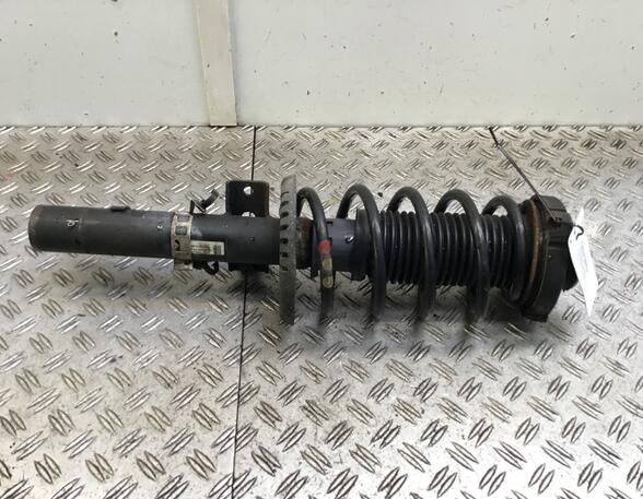 Suspension Strut SKODA Roomster Praktik (5J), SKODA Roomster (5J)