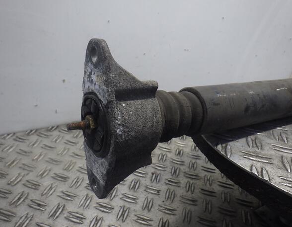 Shock Absorber FORD Focus II (DA, DP, HCP)