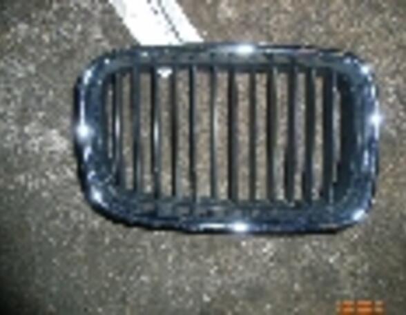 Plaat radiateurgrille BMW 3 (E36)