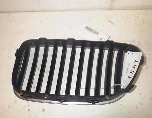 Radiateurgrille BMW 5 Touring (F11)